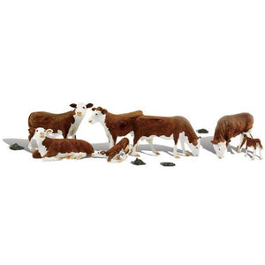 A1843 HO Hereford Cows