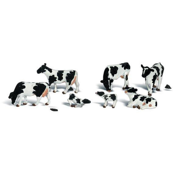 A2187 N Holstein Cows