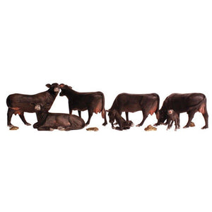 A2217 N Black Angus Cows