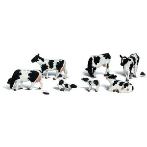 A2724 O Holstein Cows