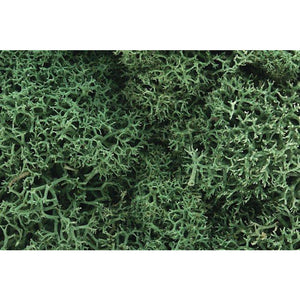 63 Lichen Bag, Medium Green/82 cu. in.