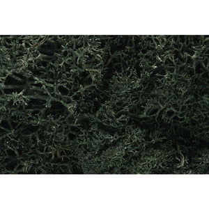 L164 Woodland Scenics  Lichen Bag Dark Green 86.6 in/3