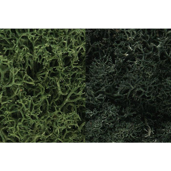 68 Lichen Bag, Dark Green Mix/165 cu. in.